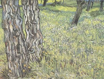 Vincent Van Gogh Pine Trees and Dandelions in the Garden of Saint-Paul Hospital (nn04) oil painting image